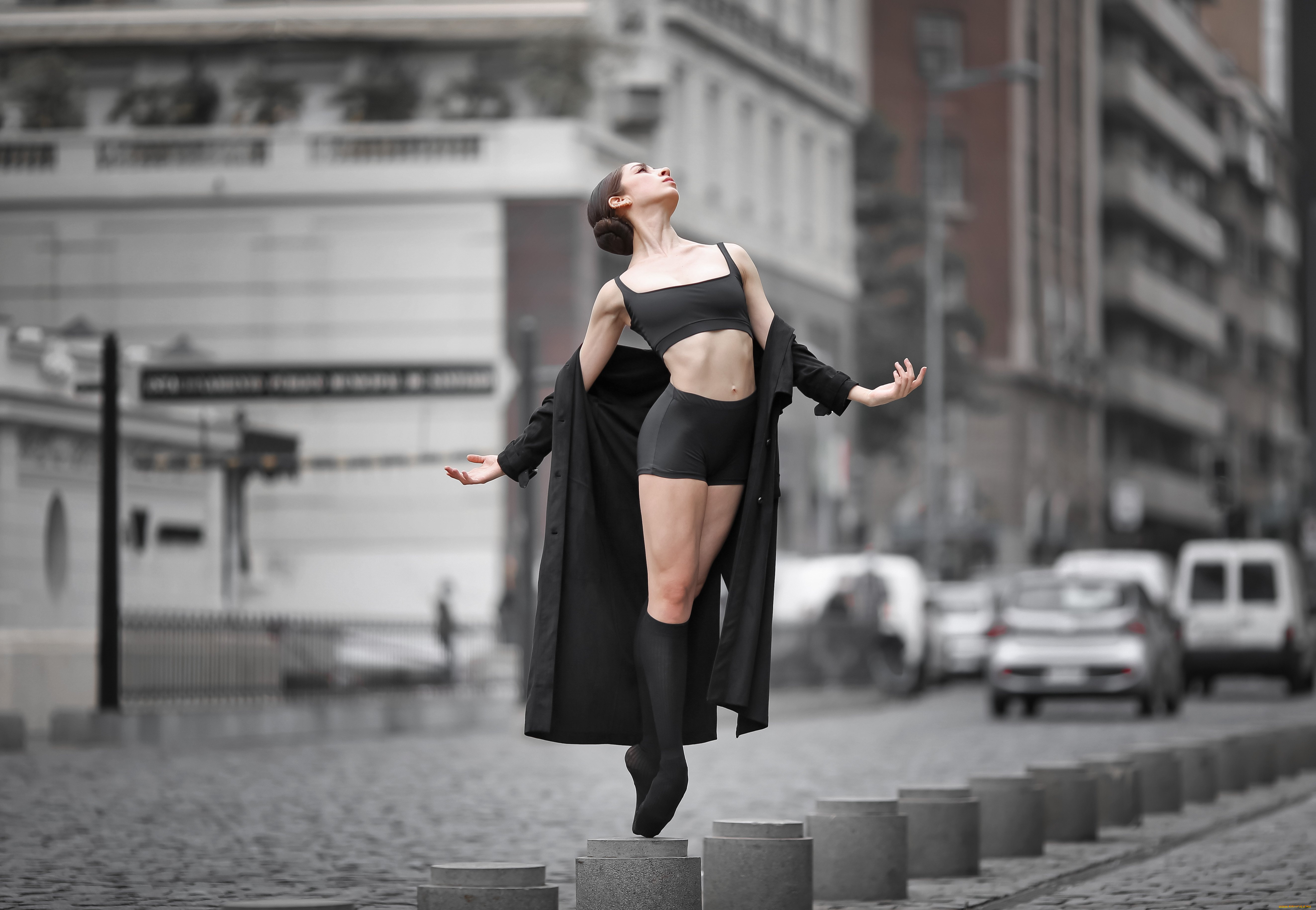 �������� �������, �������, - ��������,  �������, �������, �������, ��������, ������������, �����������, ������, ������, ��������, ������, �����, �������, ��������, ������, ������, �����������, �����, �����, ������, ��������, �����, ����������, ������, �, ���������, ���������, ��, ����������